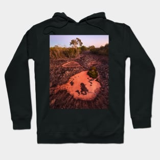 Craters Hoodie